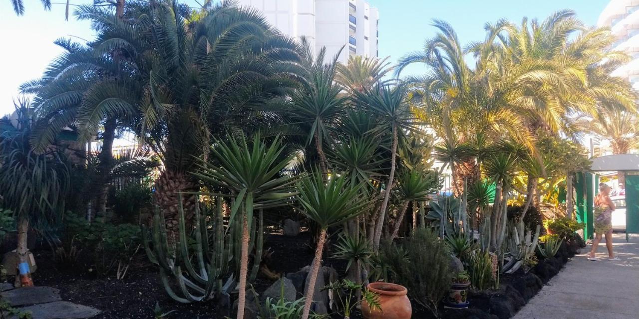 Cactus Appartement Maspalomas  Buitenkant foto